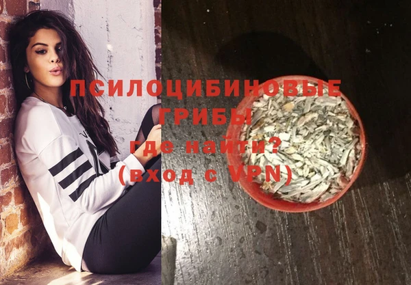 ECSTASY Богданович