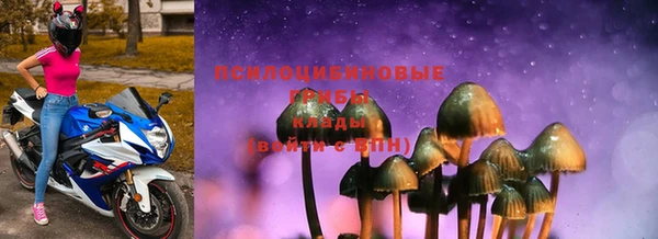 ECSTASY Богданович