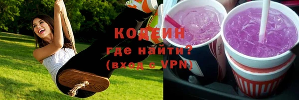 сатива Беломорск