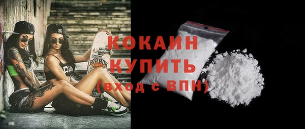 ECSTASY Богданович