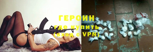 сатива Беломорск