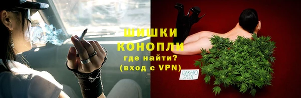 спиды Богородицк