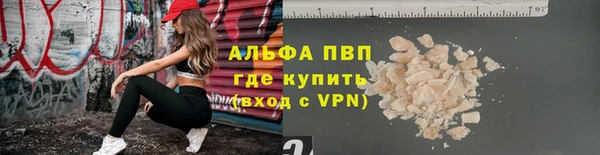 ECSTASY Богданович