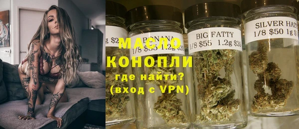 ECSTASY Богданович