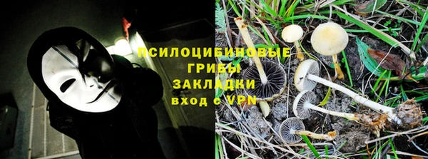 спиды Богородицк