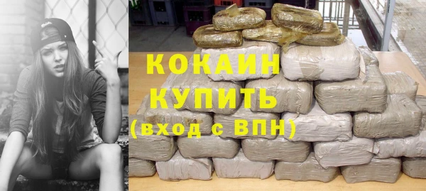 спиды Богородицк