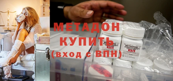 сатива Беломорск